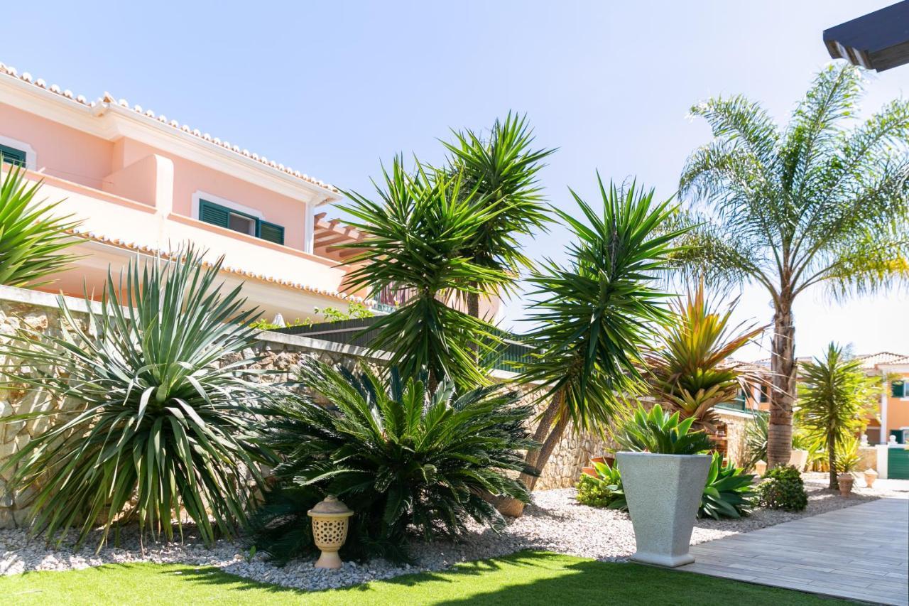 Dream Villa With Private Pool 알고스 외부 사진